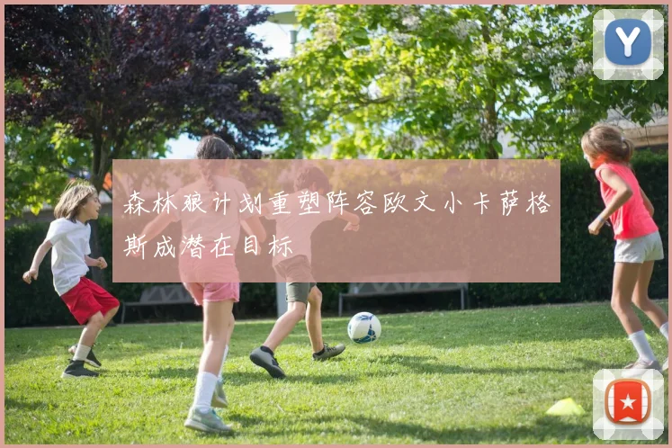 森林狼计划重塑阵容欧文小卡萨格斯成潜在目标